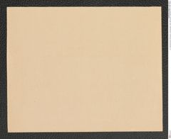 k.k. naturhistorisches Hofmuseum, Intendanzakten 1885-1896 (Hauer), Aktenzahl Z.541.c/1891, Seite 2